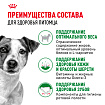 Cухой корм Royal Canin Mini Adult (МИНИ ЭДАЛТ) 2 кг